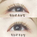 왕눈이속눈썹