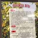 금수구지뽕삼계탕 이미지