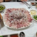 경북활어회식당