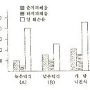 키위(양다래) 덕시설 및 정지전정 이미지