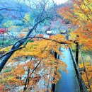 약수천 이미지