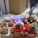 동네뽑기방 이미지