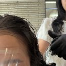 준오헤어 강남역화이트점 한예슬 디자이너 젤리펌 성공 후기