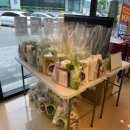 천안 원성동 삼성폰 원성점에서 갤럭시 플립 6 싸게 바꾸는 방법..!![천안 원성동, 구성동, 두정동...