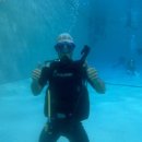 팀크레모아 이미지