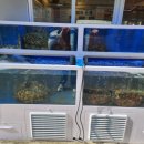 갯벌의조개 화서점 이미지