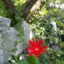 은석농장 이미지