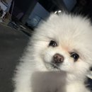 국수와닭발 이미지