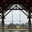 엘리시안CC | 엘리시안 제주cc 대중제 솔직후기 (잔디상태, 난이도)