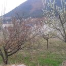 당곡농장 이미지