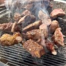 양도둑 선학점 이미지