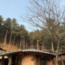 흙집 쉼 | 도시 탈출 성공✨ 양평 촌캉스 황토 감성 숙소 행복한 흙집 내돈내산 펜션 추천