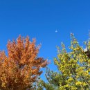 해와달요양원 | 요양원 봉사 팀인크온 아인크 김소라