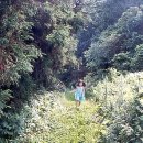 거제지심도 이미지