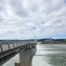 섬진강자전거길1 | 미지의 섬강(섬진강아님)자전거길 다녀왔네요 1부.잘 알려지지 않은 야간라이딩은 불가 한곳~!.하류구간...