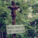 써니스크린 이미지