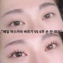 김포건강랜드 | 김포속눈썹펌연장 모르면 매일 마스카라 바를 각오