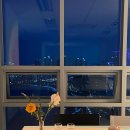 한국타이어 연초점 | [공지] 2026년 계획 | 4년 차 강점코치의 24-25년 회고와 앞으로의 계획 Love is All ❤️