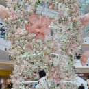 족발마을김족장-영등포점 이미지