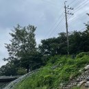 그린카페 - 세종특별자치시 내창3길 12 | 그린카페