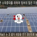 장수순이 태양광발전소 이미지