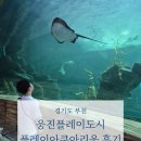 토끼와당근부천지사 | 경기도 부천, 플레이아쿠아리움 공휴일 오픈런 후기