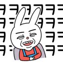 가람애견미용샵 이미지