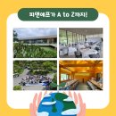 대한피앤에프