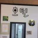 고양이카페 이미지