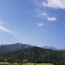 델피노숲 이미지