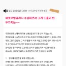 올인원 잉글리쉬 이미지