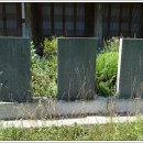 강진5호 이미지