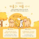 펫친구 이미지