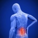 Cervical &amp; Lumbar Disc 의 Diagnosis, Treatment &amp; Kinetic Chain Dysfunction 세미나 커리큘럼 이미지