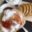 호텔 프로방스 | 담양 가성비 숙소 추천 메타프로방스 소아르호텔 레드팝 4박 후기 조식 주변 관광지