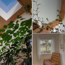 슬로우리제주 이미지