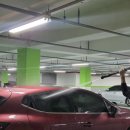 와일드출장세차 - 용인시 기흥구 동백죽전대로 444 | 와일드출장세차