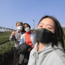 서호동-44 | [제주도스텝일기] 제주 입도 41,42,43,44DAY 엄마 아빠와 함께한 3박 4일