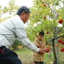 우리농산물직판장 - 포천시 정금로 356-5 | 우리농산물직판장