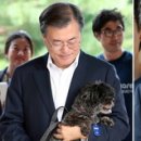 토리 인사이트