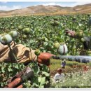 사철축산 이미지