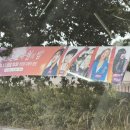 울주 피크닉 콘서트 유월의 밤 이미지