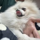 포벤져스