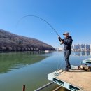 rainbow trout fly fishing (서정환 고문님) 이미지