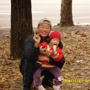 가을동화 Daum카페