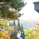 용인 돌잔치 오월식당 돌스냅 한복 촬영 후기!
