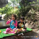 할매야영장 이미지