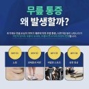 삼성마디탑정형외과의원 | 야탑역정형외과 계단에서 무릎이 아프다면 확인해 보세요
