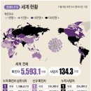 GS25 지곡애드빌점 | 우와... 코로나 확진자 313명, 어제 포항 1명 발생, 세계현황