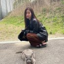 쓰담쓰담 이미지